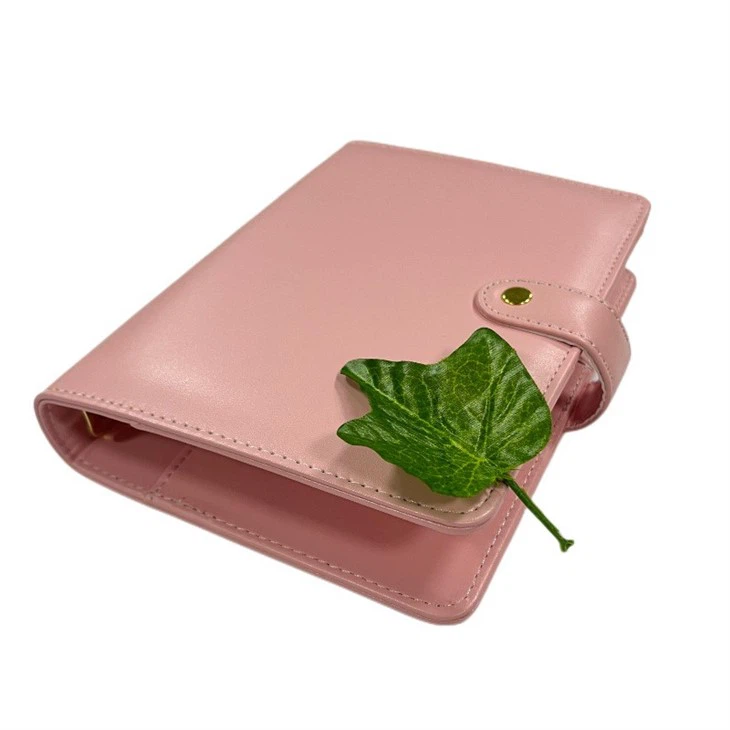 Weekly Budget Notebook