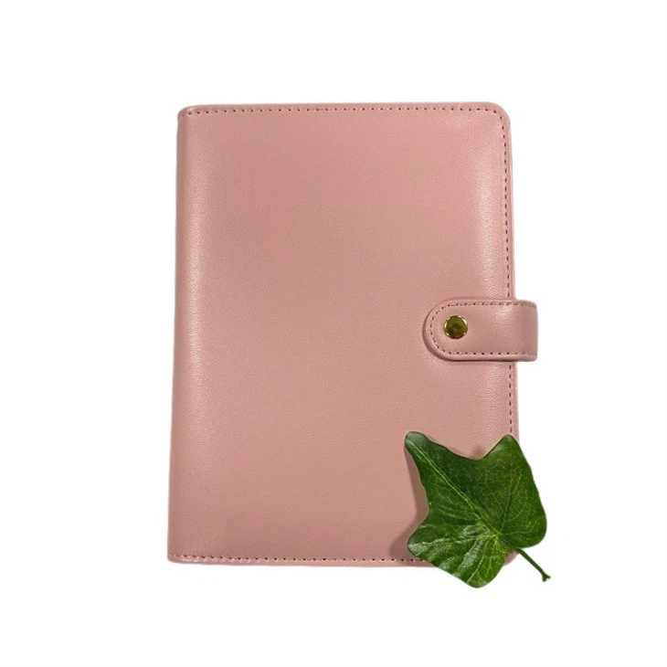 Monthly Budget Notebook